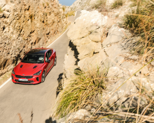 Kia Stinger Red Dynamic  (25)